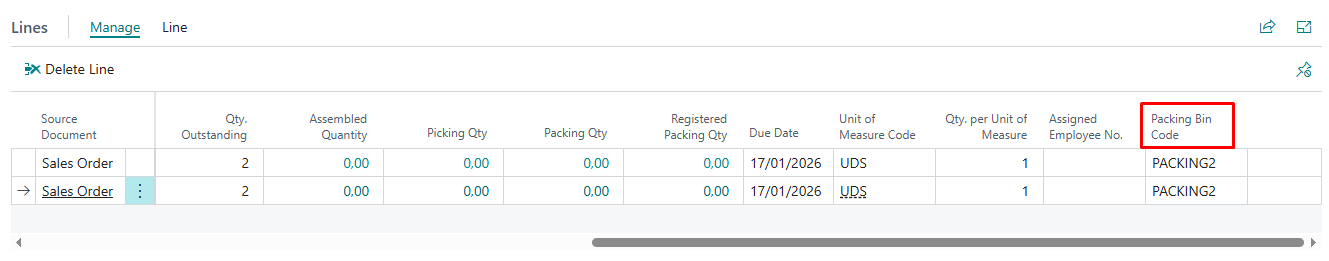 Packing Bin on the Warehouse Shipment Line